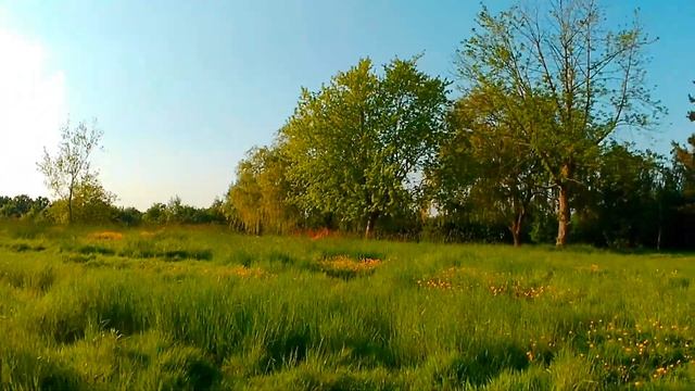 Riding on a bumpy field - Fiido L3 (Wolfang GA420 camera) microphone test смотреть онлайн