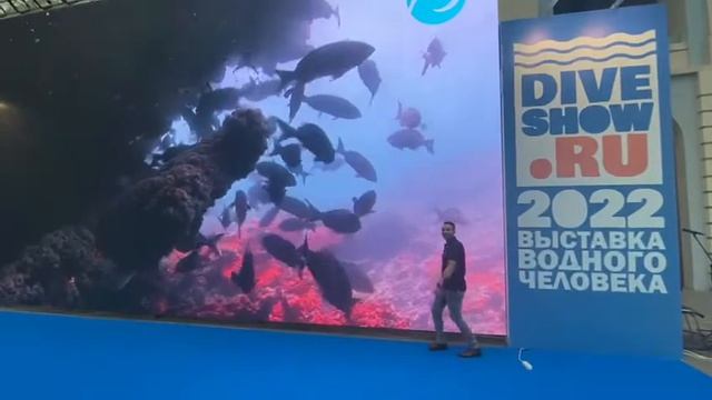 Moscow Dive Show🤿2022🤿 смотреть онлайн