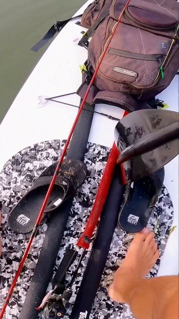 Better In My Leg Than My Paddleboard 💀 #shorts #fishing #bassfishing #hooked #bfs смотреть онлайн