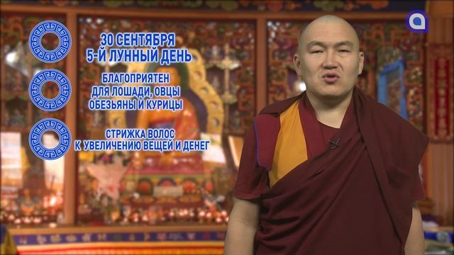 Тигры и кролики, не спешите со стройкой смотреть онлайн