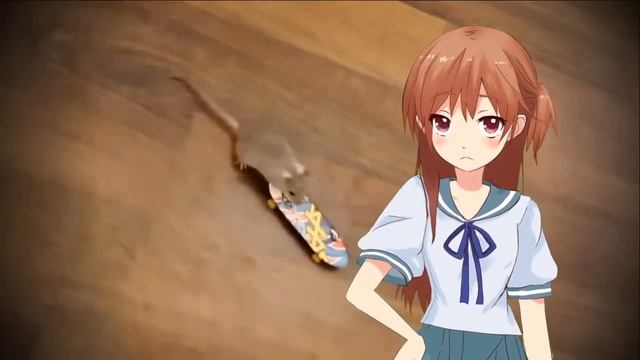 Надежда Шемякина. МЫШКА И КНИЖКА