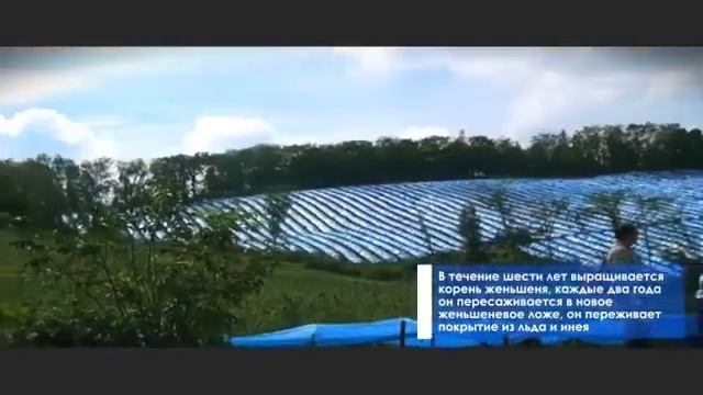Продукт BH – адаптоген нового поколения. смотреть онлайн