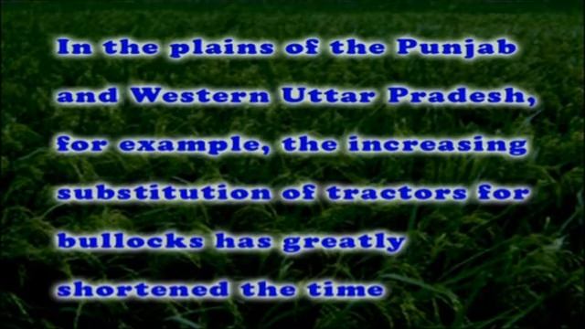 Agricultural Geography Socio Economic Factors of Agriculture смотреть онлайн