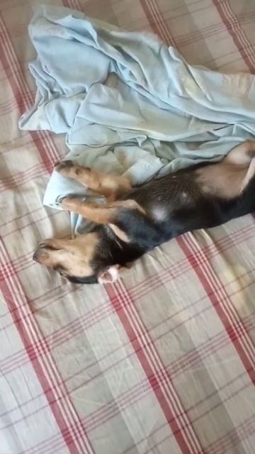 Дальнобойщица отсыпается))) смотреть онлайн