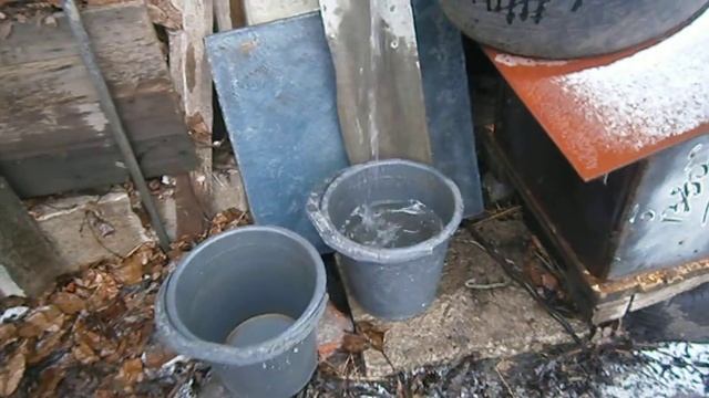 Какое растение в открытом грунте Харькова заменит цитрус в горшке смотреть онлайн