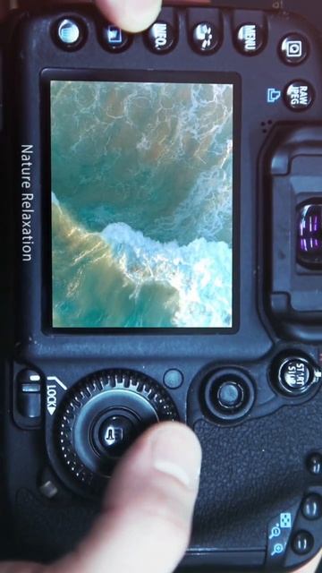 Through the Lens of Nature Relaxation #Shorts смотреть онлайн