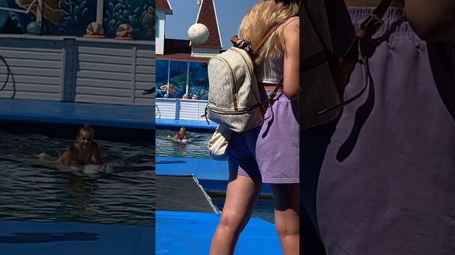 ДЕЛЬФИНЫ В КРЫМУ СЕВАСТОПОЛЬ смотреть онлайн