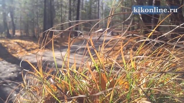 Разная осень смотреть онлайн