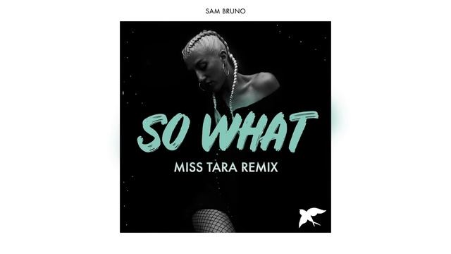 Sam Bruno - So What (Miss Tara Remix) смотреть онлайн