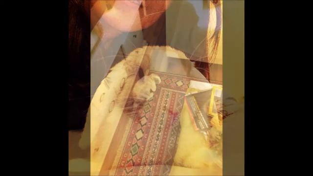 In the memory of lovely Lucy смотреть онлайн