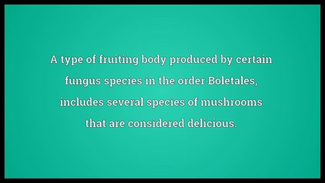 Bolete Meaning смотреть онлайн