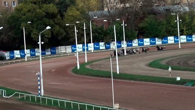 Московский ипподром. Бега. 08.10.17. Заезд 7(604). ПРИЗ БЫЛОЙ МЕЧТЫ смотреть онлайн
