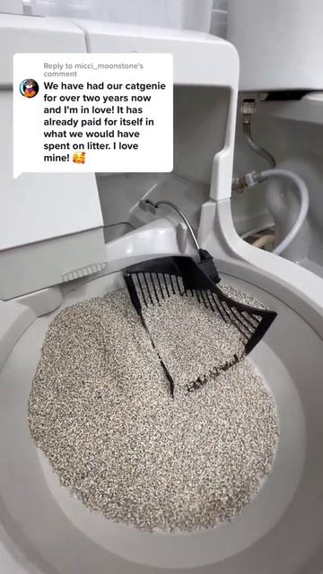 No more disposable litter! #catgenie #cat #shorts смотреть онлайн