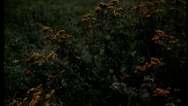 Приче матушке Фросе о манастиру ДивијевоPriče matuške Frose o manastiru Divijevo 2 део смотреть онлайн