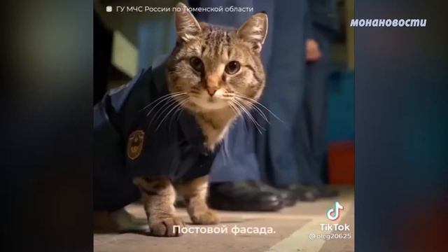 Выходные с Моной. 11 выпуск смотреть онлайн
