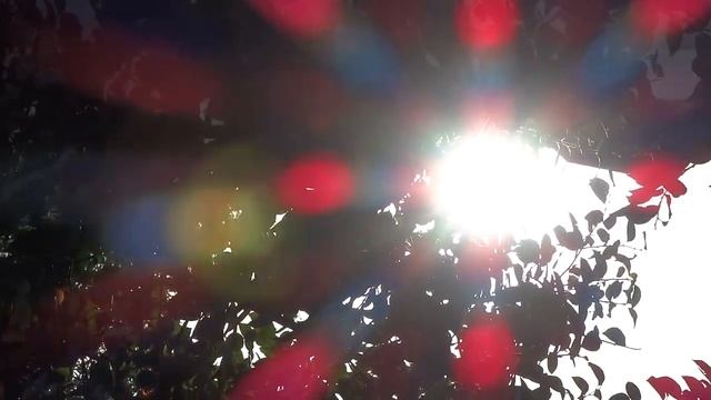 2019 На гроба на баба Ванга смотреть онлайн