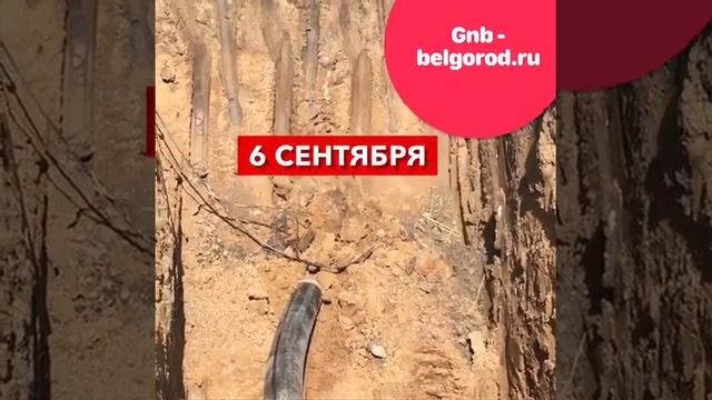 Gnb-belgorod.ru белгород смотреть онлайн