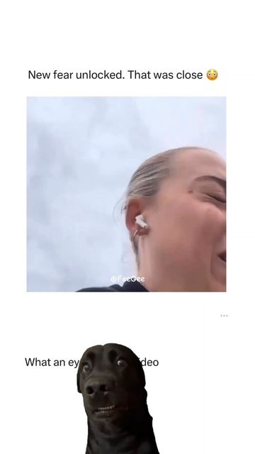 Scary Bird ... 😨 смотреть онлайн