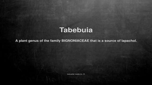 Medical Vocabulary: What Does Tabebuia Mean