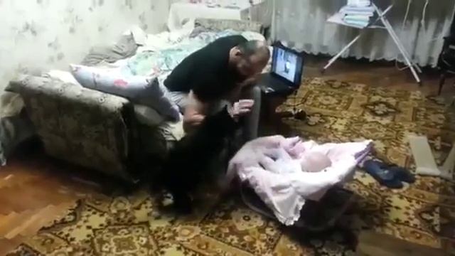 Кот защищает ребенка смотреть онлайн