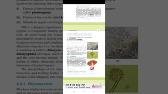 NCERT Biology Part 4 BIOLOGICAL CLASSIFICATION