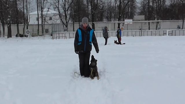 на тренировке с Umora Grey Best смотреть онлайн