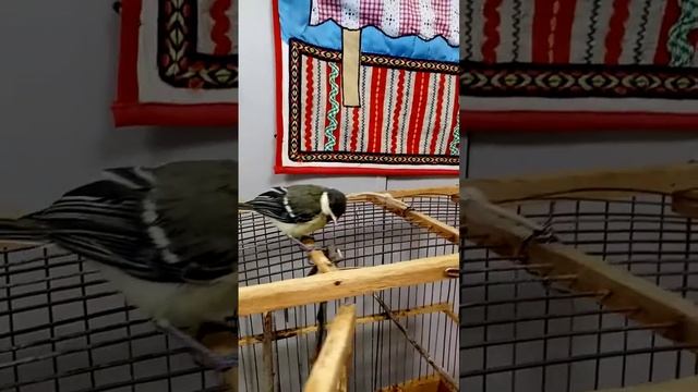 Ваня. 13 день смотреть онлайн