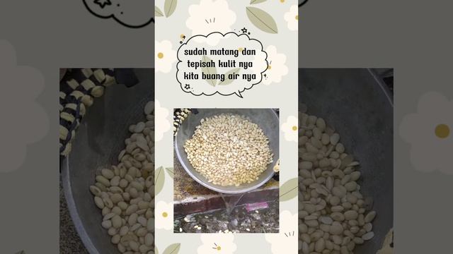 membuat tempe смотреть онлайн