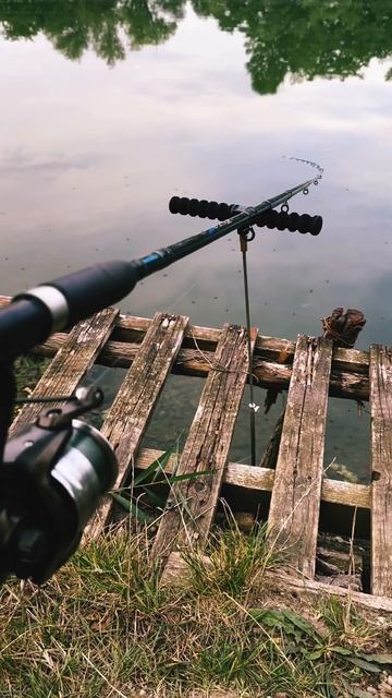 🎣🏎️🎣.. #carpfishing #rybolov #fishing #kaprarina #rybarcenie #erinofishing #carp #kapor #run смотреть онлайн