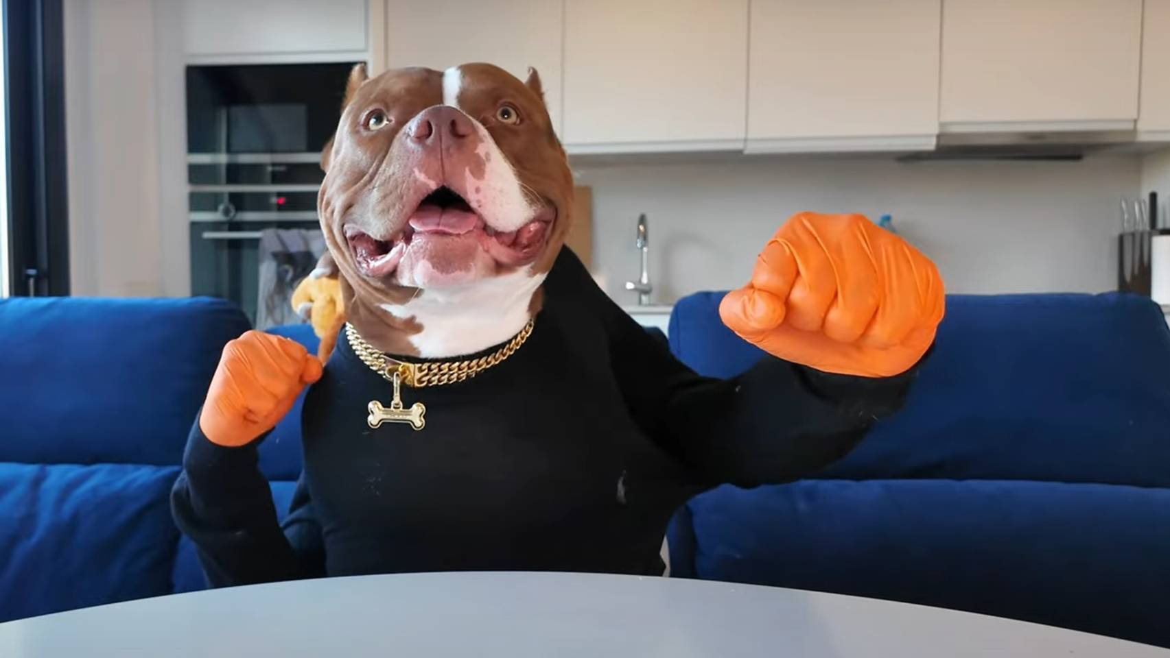 завтрак для бульдога смотреть онлайн