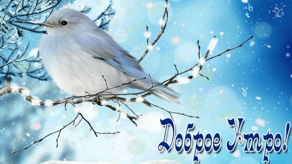 С прекрасным добрым февральским утром. Музыкальная открытка.