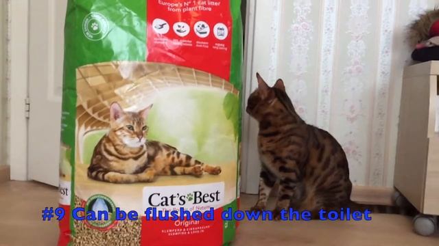 Cat litter - Cat's Best Oko Plus 40L presentation смотреть онлайн