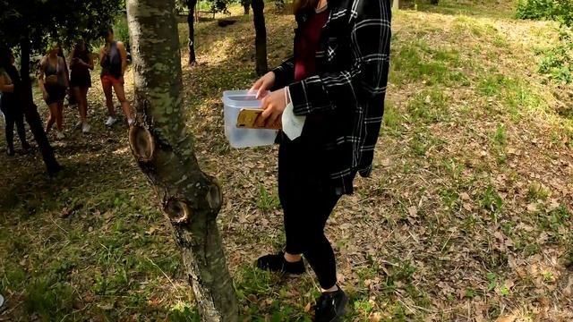 Truffle Hunting - Volterra Italy - Study Abroad May 2022 смотреть онлайн