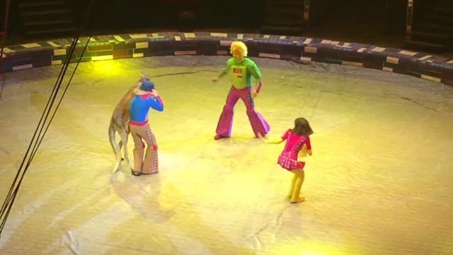 Big Moscow Circus show VI смотреть онлайн