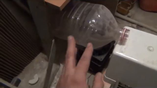 Поймал "подсобника" в мастерскую / Caught a helper in the workshop смотреть онлайн