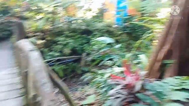 The Beauty of Nature @The Forest Camp Valencia | Parekoi28 Tv смотреть онлайн