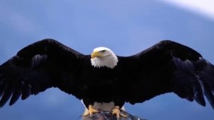 Легенда об Орлятах