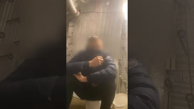 Блог о Вешенки смотреть онлайн
