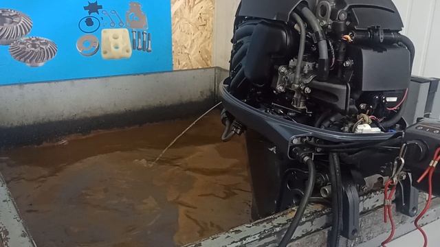 запуск Yamaha F40