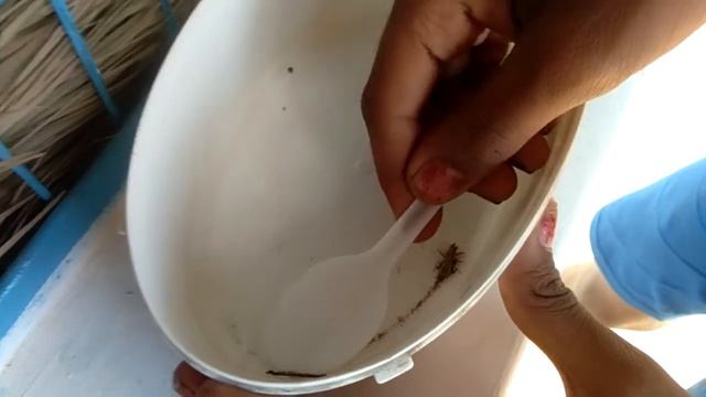 Most poisonous insects смотреть онлайн
