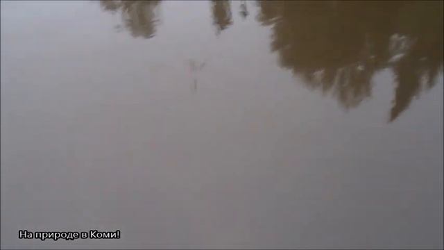 С ночёвкой за окунем (2 часть).