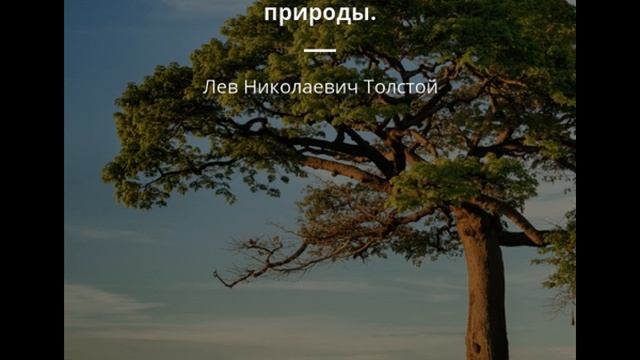 Аудиокнига 683   Любите Природу!