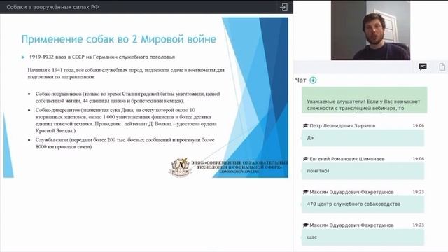 Собаки в вооруженных силах! смотреть онлайн