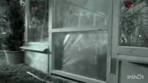 Kitekat - еда энергичных кошек (Борис на даче) (в конце: еда энергичных кошек на зелёном фоне) (2)