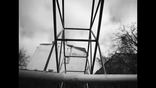 Грибы   Интро