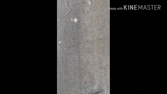 Ого сколько муравьев. смотреть онлайн