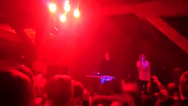 щенки 1212 - 500 грамм и 2 грамма