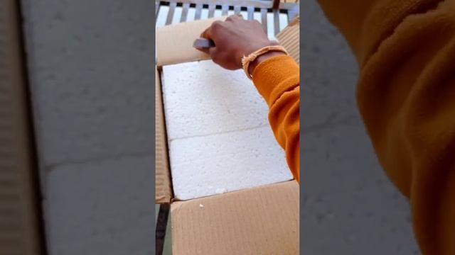 Trichoderma Harzanium Ipl Biologicals Review Online Shopping