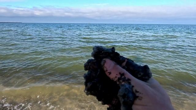 Что за на фиг? На центральном пляже. Азовское море. Ейск. смотреть онлайн