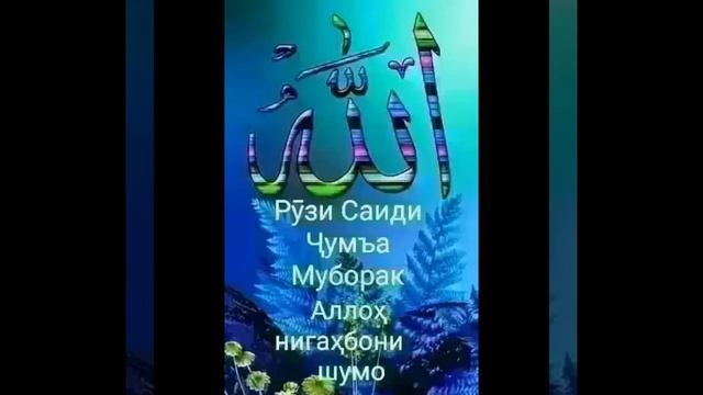 🌹Э ашк охиста бирез ки шаб дарозаст смотреть онлайн